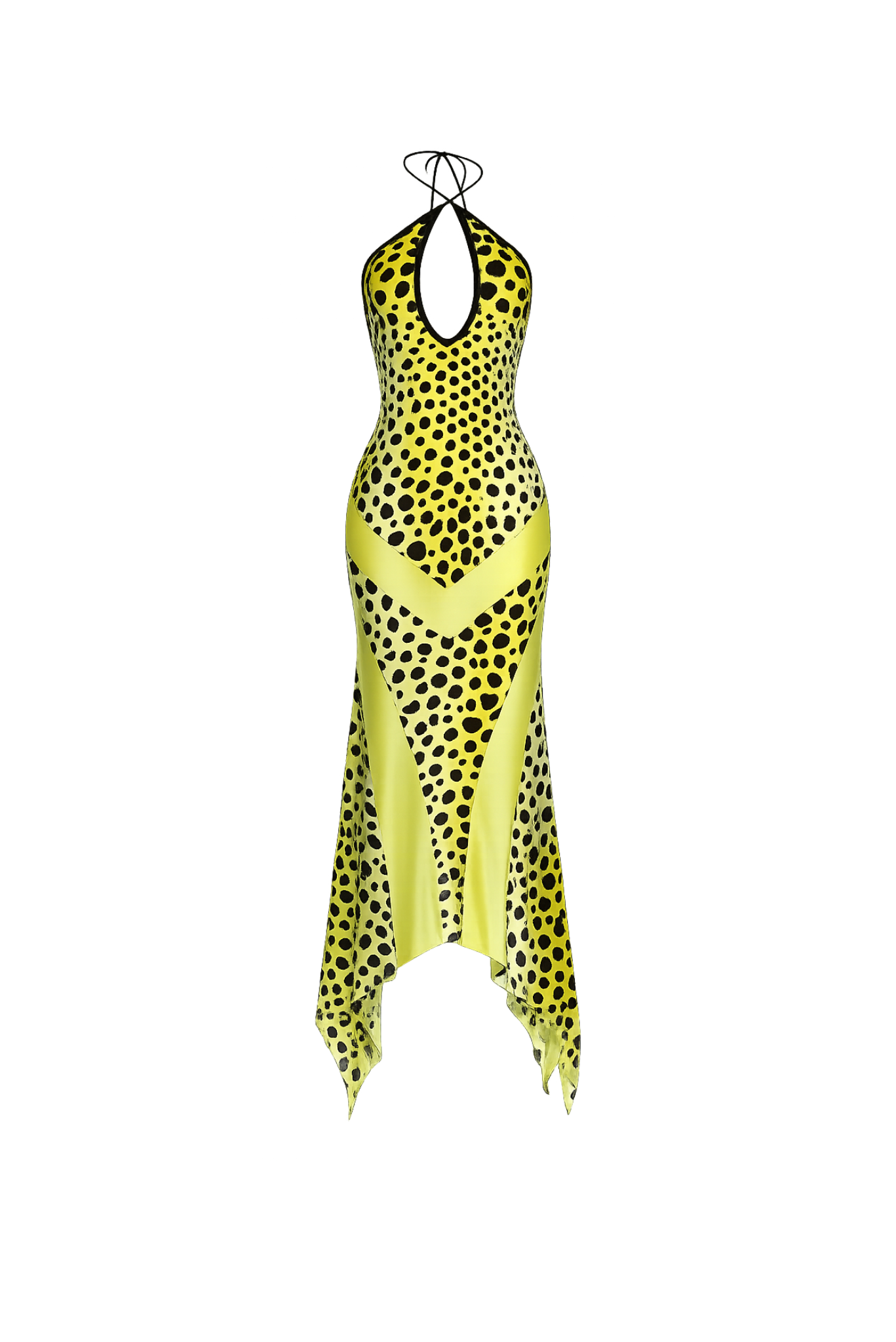 IMG-2547.png