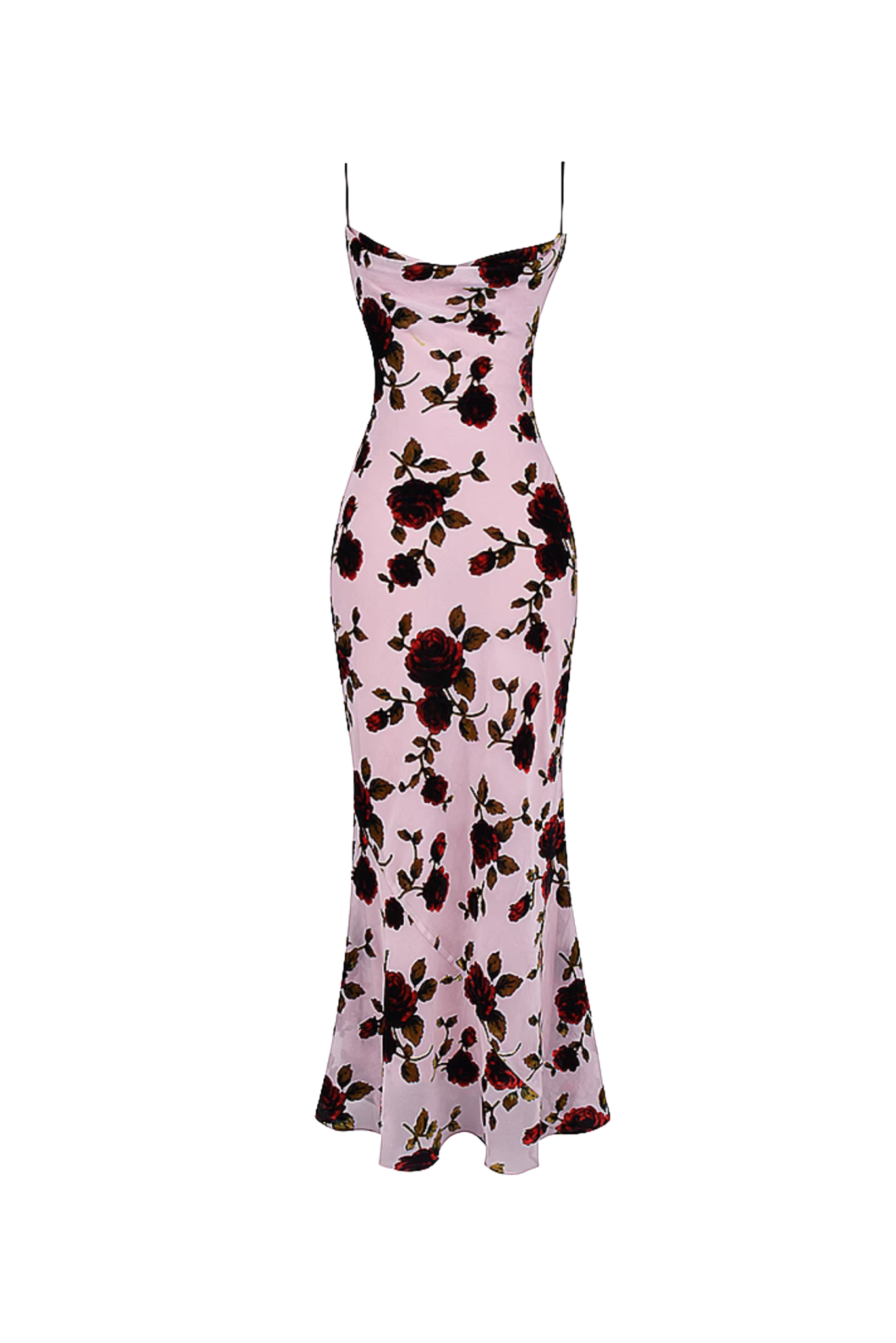 IMG-6454.png