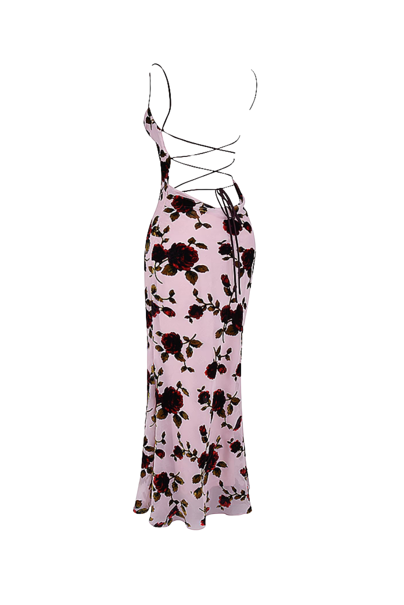 IMG-6455.png